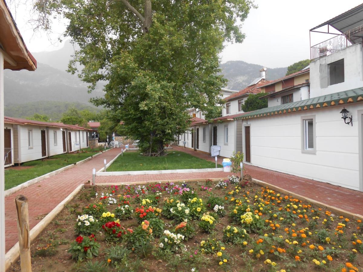 Ipsos Hotel Beldibi Kemer Eksteriør billede