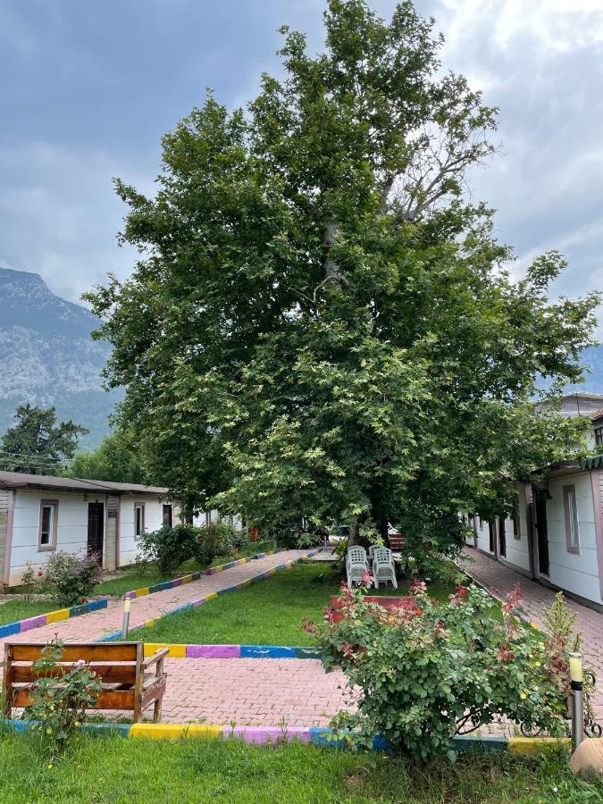 Ipsos Hotel Beldibi Kemer Eksteriør billede