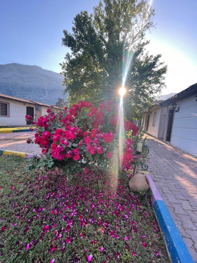 Ipsos Hotel Beldibi Kemer Eksteriør billede